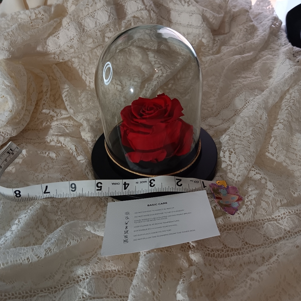 🦚Enchanted Rose Classic Red Rose